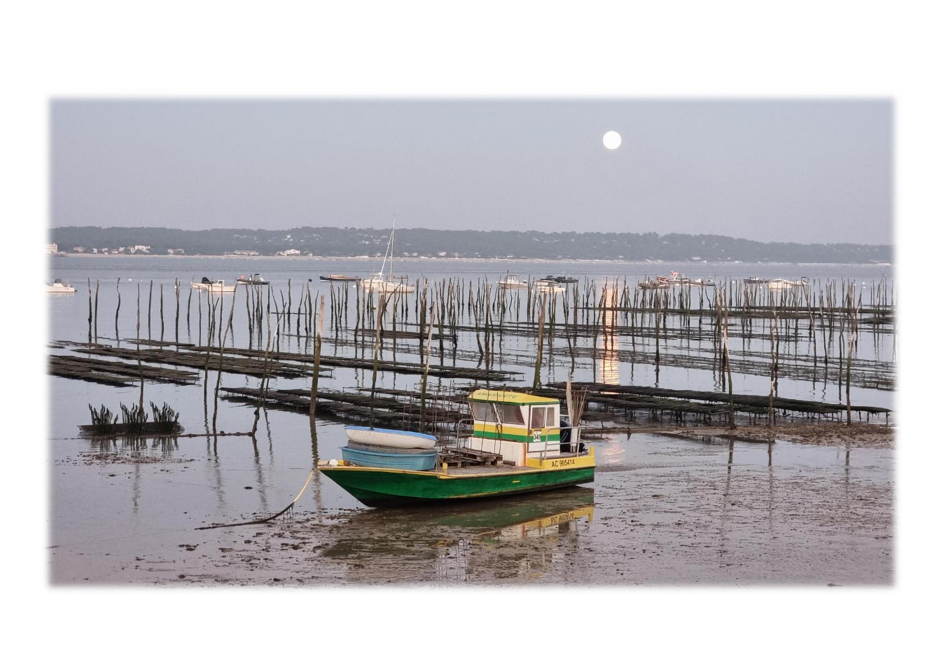 Bassin bateau