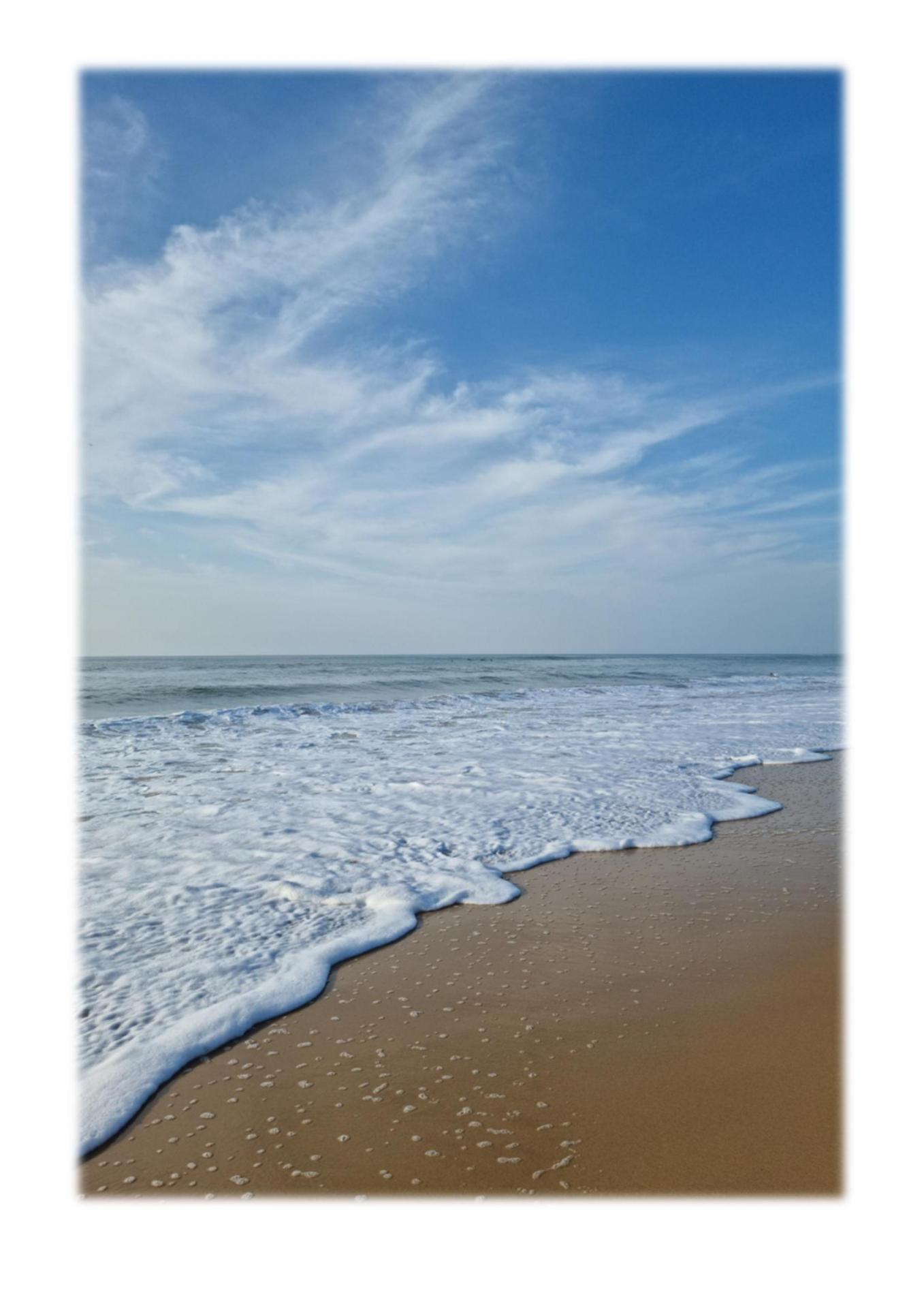 Ocean